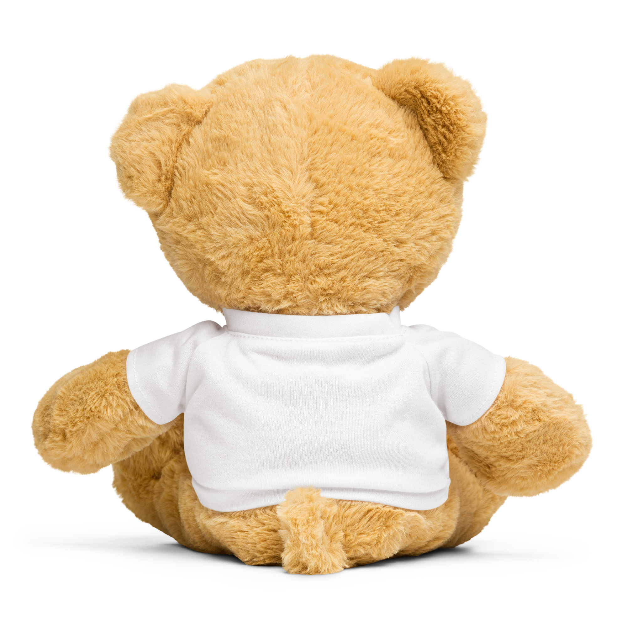 teddy bear with a t shirt teddy bear with a t shirt